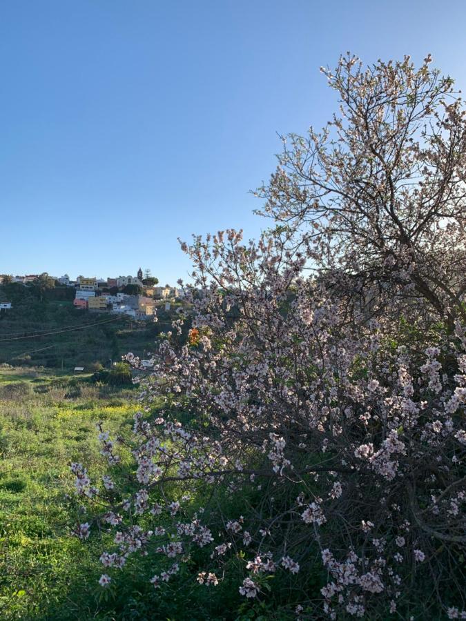 El Sosiego, Der Rueckzugsort Santa Brígida Dış mekan fotoğraf
